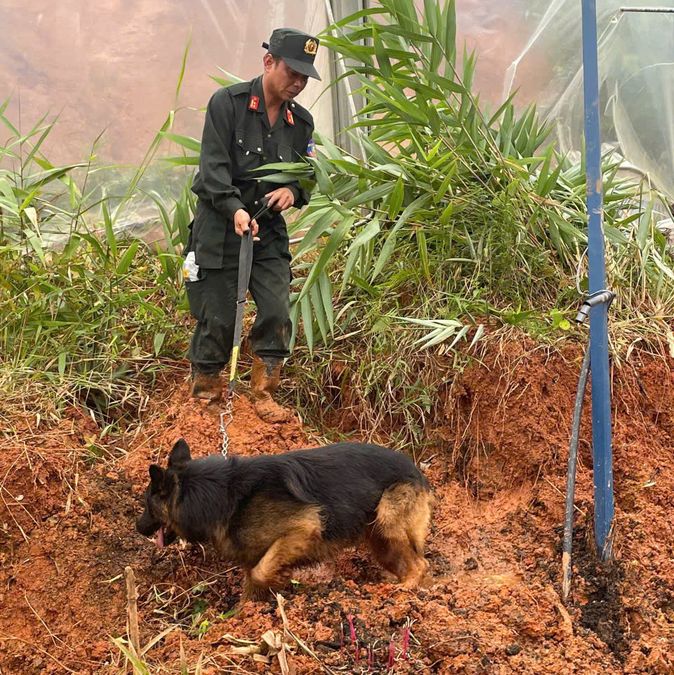 Cảnh sát cơ động và chó nghiệp vụ khẩn trương tìm kiếm nạn nhân mất tích do sạt lở