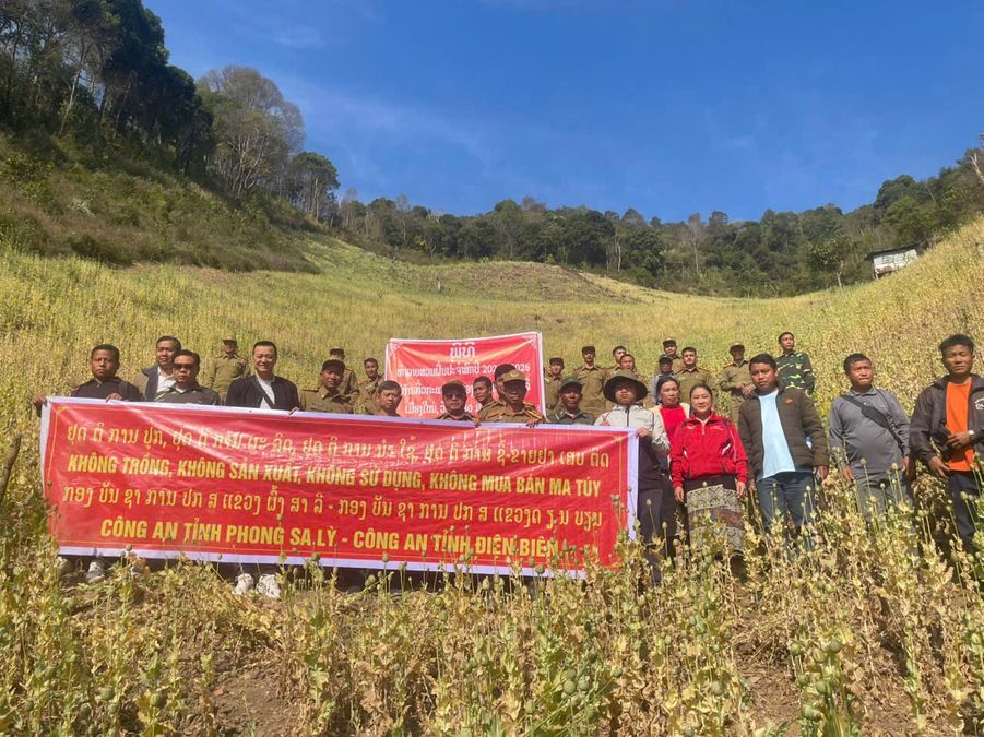 Phá nhổ hơn 100 điểm trồng cây thuốc phiện trái phép tại khu vực biên giới Việt - Lào