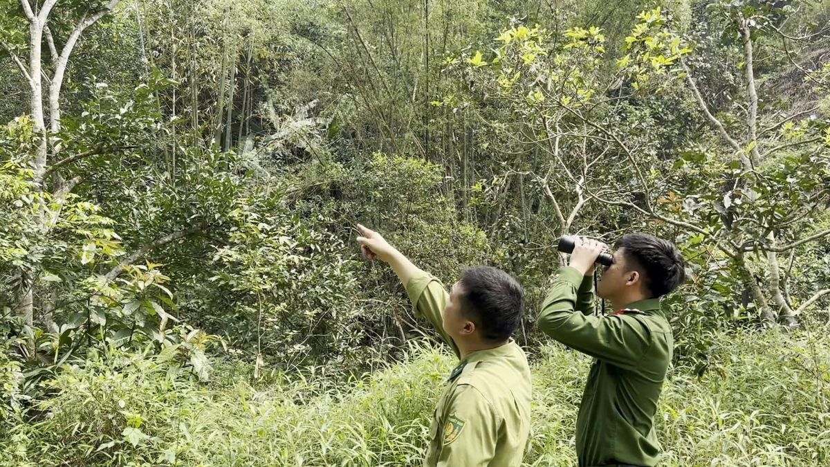 Lạng Sơn: Công an xã Hồng Phong tăng cường phối hợp liên ngành trong công tác kiểm tra, bảo vệ rừng 