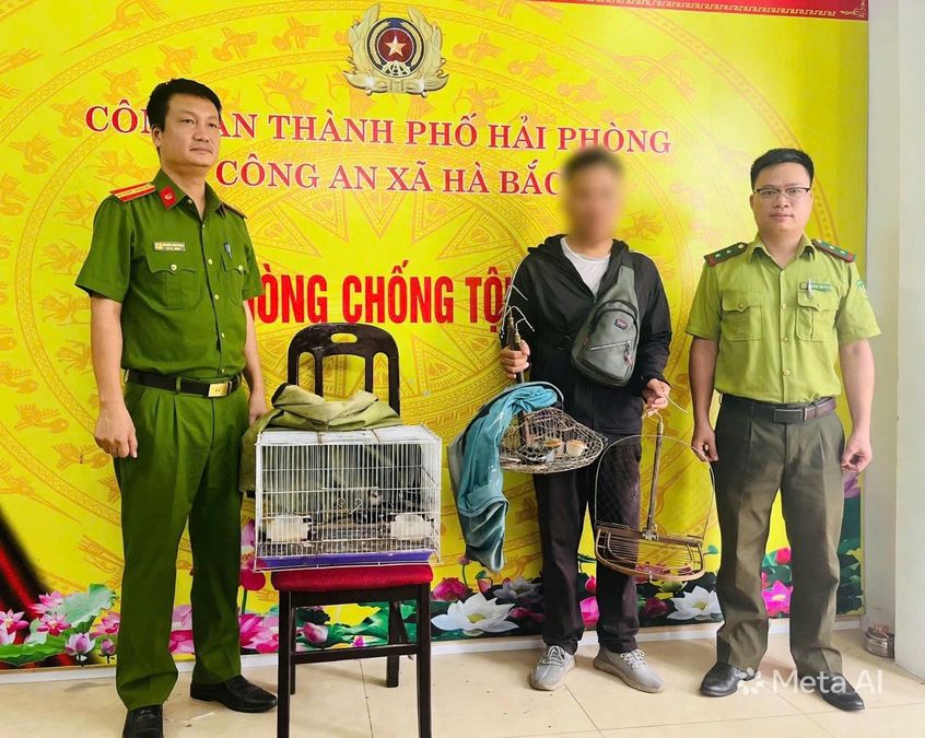 Hải Phòng: Phát hiện, xử lý đối tượng bẫy chim hoang dã