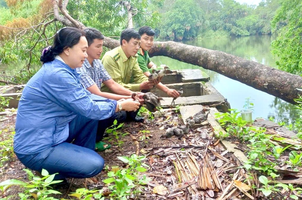 Chuyển biến rõ nét trong bảo vệ động vật hoang dã và nguồn lợi thủy sản tại tỉnh Cà Mau