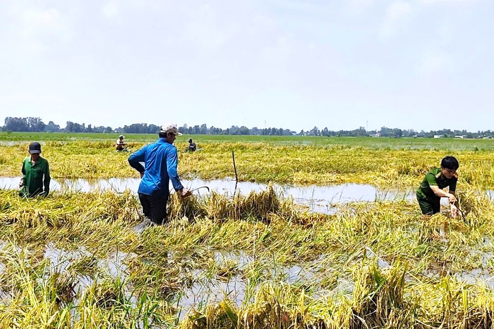 Công an cơ sở sát cánh cùng Nhân dân khắc phục ảnh hưởng trong mùa mưa giông