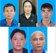 Hải Phòng: Khởi tố 09 bị can trong vụ vận chuyển, mua bán hơn 130 tấn thịt lợn dương tính với virus dịch Tả lợn Châu Phi 