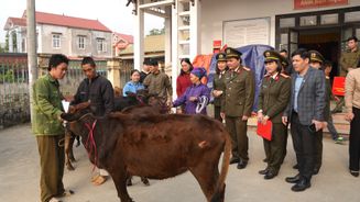 Công an tỉnh Cao Bằng trao tặng bò giống hỗ trợ sinh kế cho hộ gia đình khó khăn tại xã Trường Hà (đợt 2)