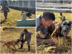 Quảng Ngãi: Nâng cao năng lực tác chiến của lực lượng đặc thù cho các sự kiện trọng đại