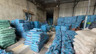 Sản xuất hàng ngàn tấn muối I ốt giả bán ra thị trường: Khởi tố một Giám đốc 