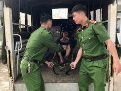 Quảng Ngãi: Công an xã Ngọc Linh kịp thời cứu sống người đàn ông treo cổ tự vẫn