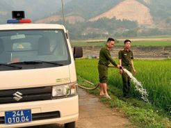 Lào Cai: Công an xã Dương Quỳ kịp thời cứu 30ha lúa thôn Bản Pàu trước nguy cơ mất trắng