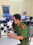 Cảnh báo tình trạng sử dụng giấy phép lái xe, biển số xe giả trên địa bàn tỉnh Cao Bằng