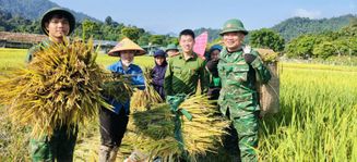 Công an xã Môn Sơn, tỉnh Nghệ An hỗ trợ gia đình có hoàn cảnh khó khăn thu hoạch lúa