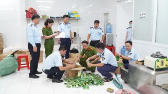  Triệt xóa đường dây sản xuất, buôn bán hàng giả là dầu gió, giả mạo nhãn hiệu “EAGLE BRAND”