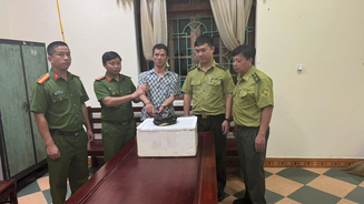 Ninh Bình: Khởi tố bị can đối với đối tượng mua bán động vật hoang dã