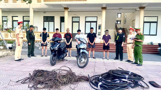 Ninh Bình: Bắt giữ nhóm đối tượng trộm cắp dây cáp điện trên địa bàn