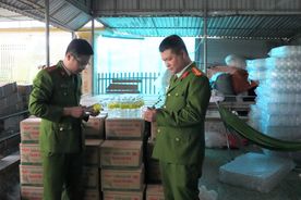 Công an Nghệ An chủ động tuyên truyền, cảnh báo nguy cơ vi phạm liên quan hoạt động sản xuất, kinh doanh thực phẩm