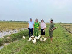 Công an thành phố Huế kiên quyết ngăn chặn tình trạng săn bắt, bẫy bắt chim trời