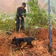 Cảnh sát cơ động và chó nghiệp vụ khẩn trương  tìm kiếm nạn nhân mất tích do sạt lở