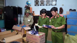 Gia Lai: Phát hiện hơn 25.000 bao thuốc lá nhập lậu cất giấu tinh vi dưới hầm nhà