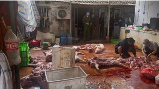 Hưng Yên: Kịp thời ngăn chặn số lượng lớn “thực phẩm bẩn” chuẩn bị đưa ra thị trường tiêu thụ