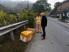 Điện Biên: Thu giữ hơn 1 tấn thực phẩm không rõ nguồn gốc xuất xứ