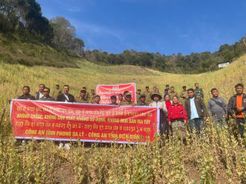 Phá nhổ hơn 100 điểm trồng cây thuốc phiện trái phép tại khu vực biên giới Việt - Lào