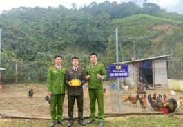 Lạng Sơn: Tuổi trẻ Công an xã Thiện Hòa lan tỏa tinh thần lao động, tiết kiệm từ công trình vườn – chuồng