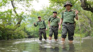 Lặng thầm giữ bình yên