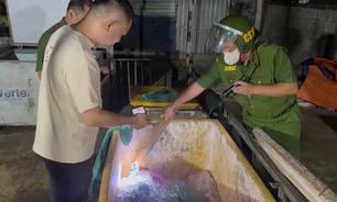 Phát hiện cơ sở giết mổ heo trái phép, gần 500kg thịt bốc mùi chuẩn bị tuồn ra thị trường