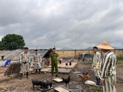 Người giữ bình yên sau song sắt