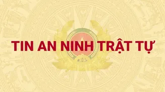 Tuyên Quang: Khởi tố đối tượng lừa đảo chiếm đoạt tiền thông qua hình thức “đặt cọc mua xe ô tô giá rẻ” trên mạng xã hội