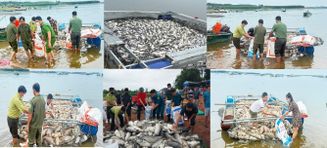 Hỗ trợ người dân khắc phục hậu quả cá chết hàng loạt trên hồ Trị An, Đồng Nai