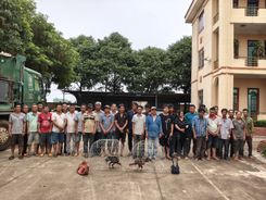 Gia Lai: Đột kích sới gà quy mô lớn, bắt giữ 31 đối tượng