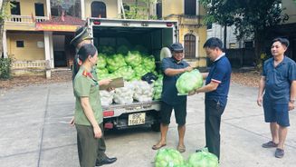 Công an Thanh Hoá chung tay “giải cứu” nông sản, lan tỏa tinh thần sẻ chia cùng người nông dân