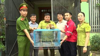 Tăng cường phòng ngừa, kiểm tra, xử lý hành vi mua bán hàng cấm, vũ khí và công cụ bị cấm để khai thác thủy sản