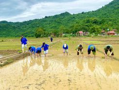 Hỗ trợ gia đình chính sách cấy lúa, tuổi trẻ Công an tỉnh Phú Thọ lan tỏa tinh thần vì Nhân dân phục vụ