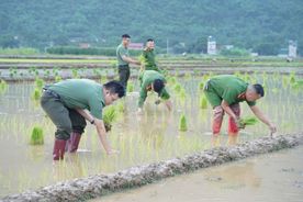 Xuống đồng sẻ chia, vun đắp nghĩa tình đồng đội