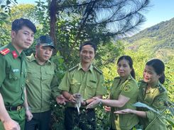 Sơn La: Công an xã Phù Yên phối hợp thả cá thể Cú mèo quý hiếm về tự nhiên