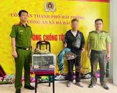 Hải Phòng: Phát hiện, xử lý đối tượng bẫy chim hoang dã