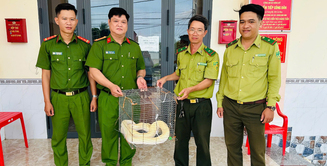 Chung tay bảo vệ các loài động vật hoang dã