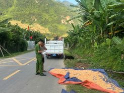 Giữ đường thông, giữ an toàn trong mùa thu hoạch