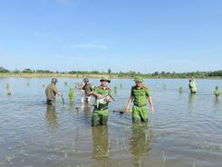 Hà Tĩnh: Công an các xã, phường chủ động ngăn chặn săn bắt chim hoang dã