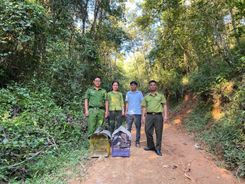 Điện Biên: Phạt 3 triệu đồng người nuôi nhốt trái phép chim hoang dã