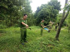 Công an tỉnh Tuyên Quang chung tay bảo vệ chim hoang dã trong mùa di cư