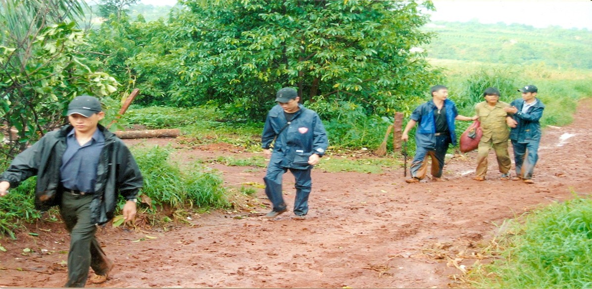 Sample alt text