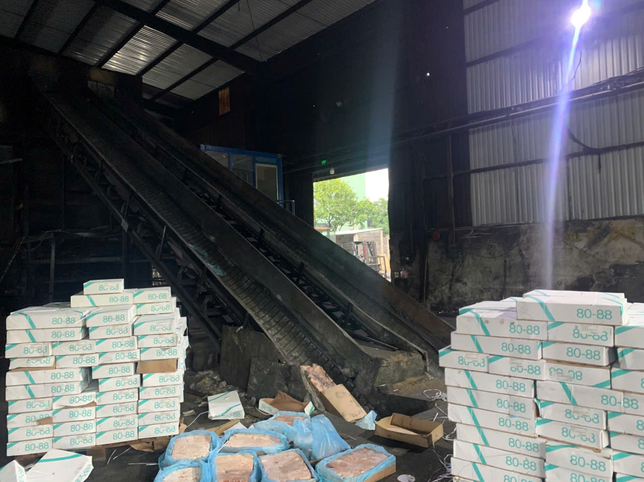 16. tiêu hủy bằng phương pháp đốt.jpg