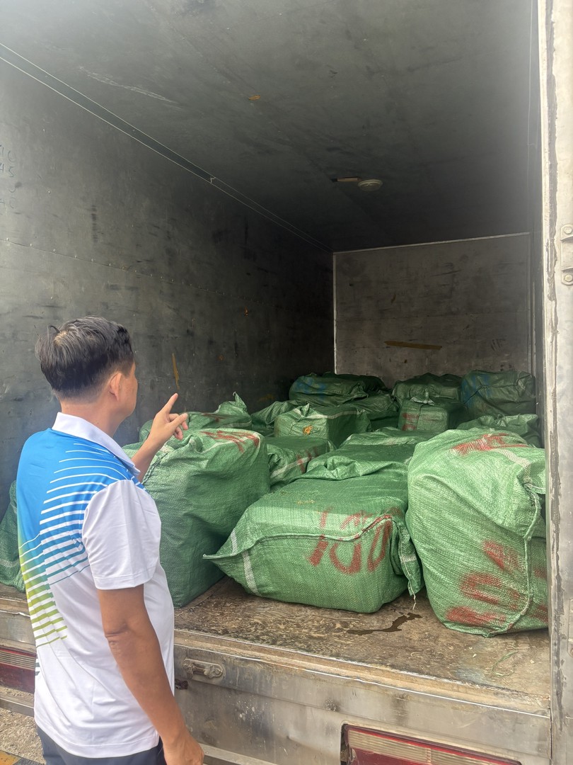 5. vận chuyển vú heo.jpg