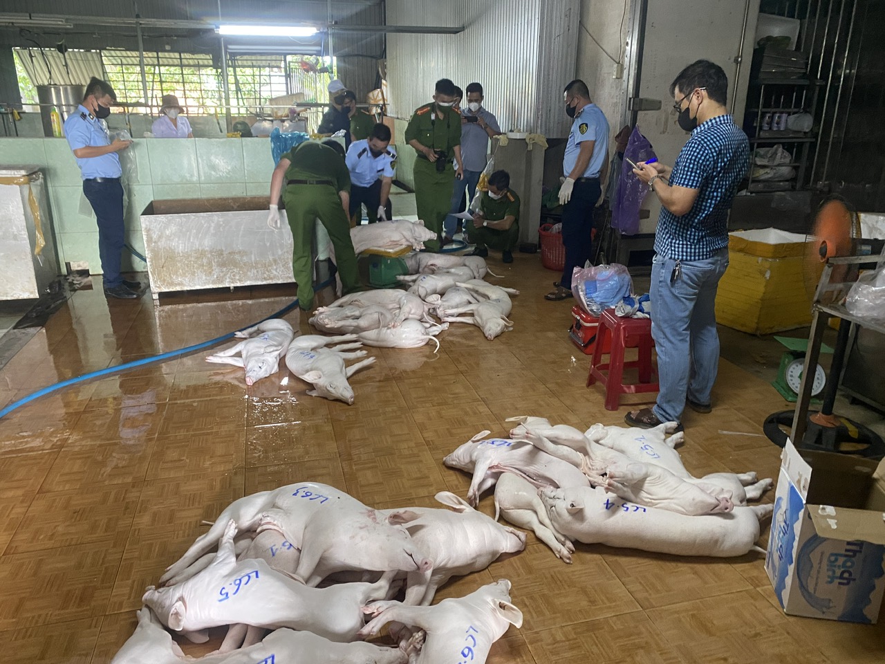 kiểm tra cơ sở heo dich.jpg