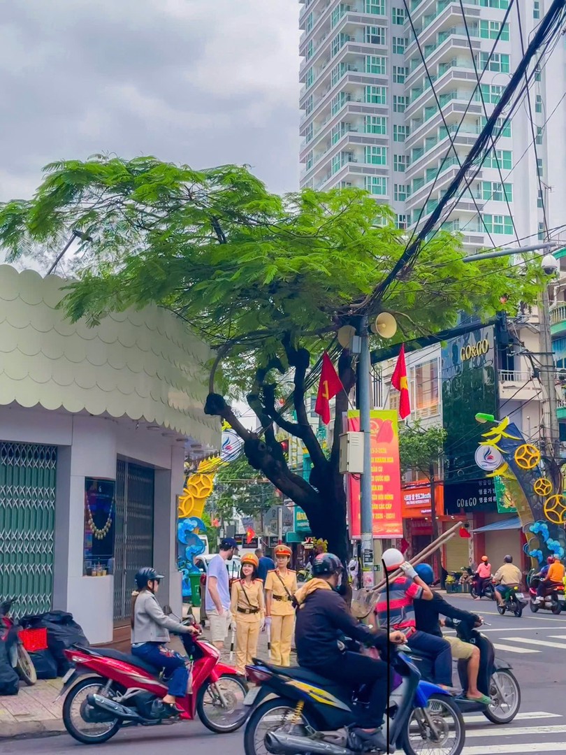 csgt dam bao tt atgt.jpg