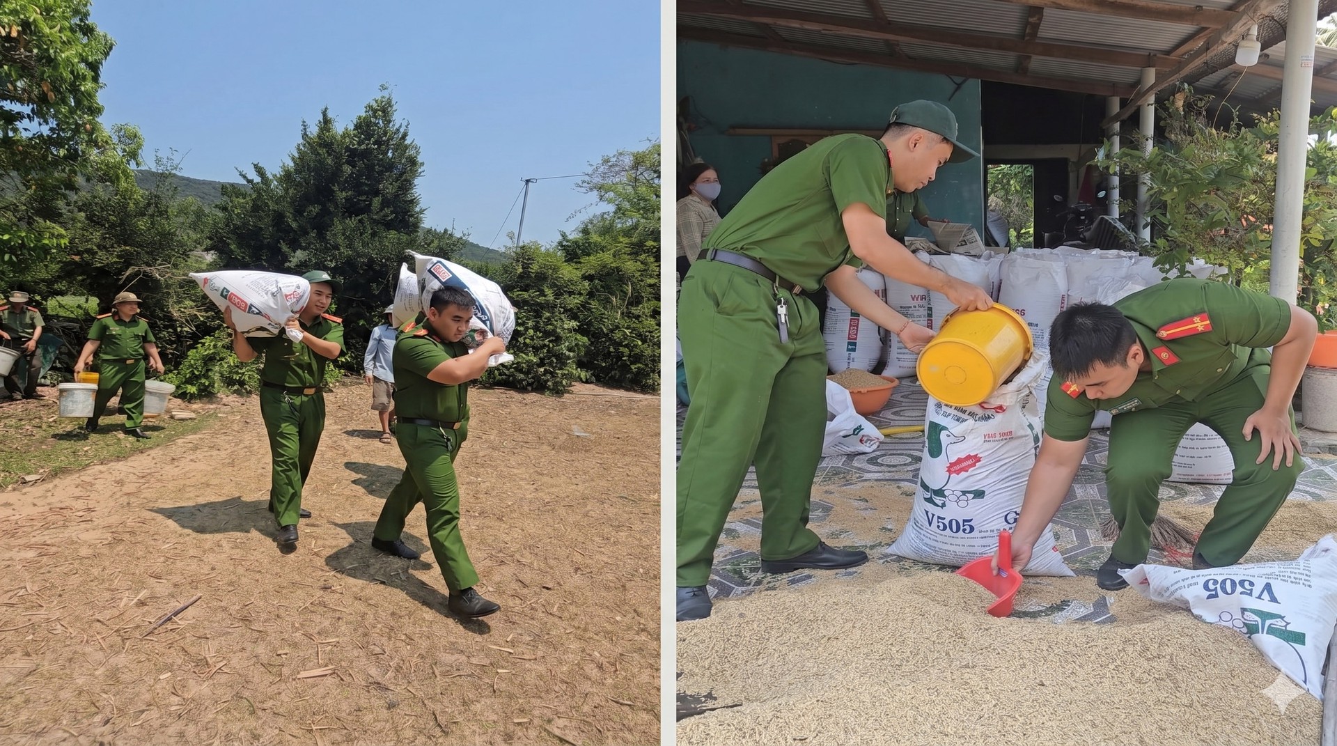 CBCS Công an xã Phù Mỹ Đông, tỉnh Gia Lai giúp gia đình ông Nguyễn Văn Ngoan (72 tuổi, ở thôn Thuận Đạo) thu dọn số thóc đã phơi khô cho vào bao, chuyển đến nơi bảo quản..jpg