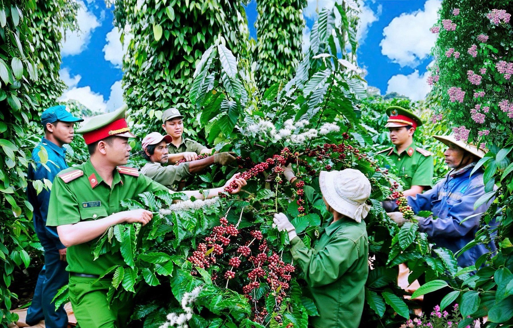 2._tham_gia_giup_dan_thu_hai_ca_phe_qua_do_nam_bat_tam_tu_nguyen_vong_va_phoi_hop_bao_dam_an_ninh_co_so._20260527101829.jpg
