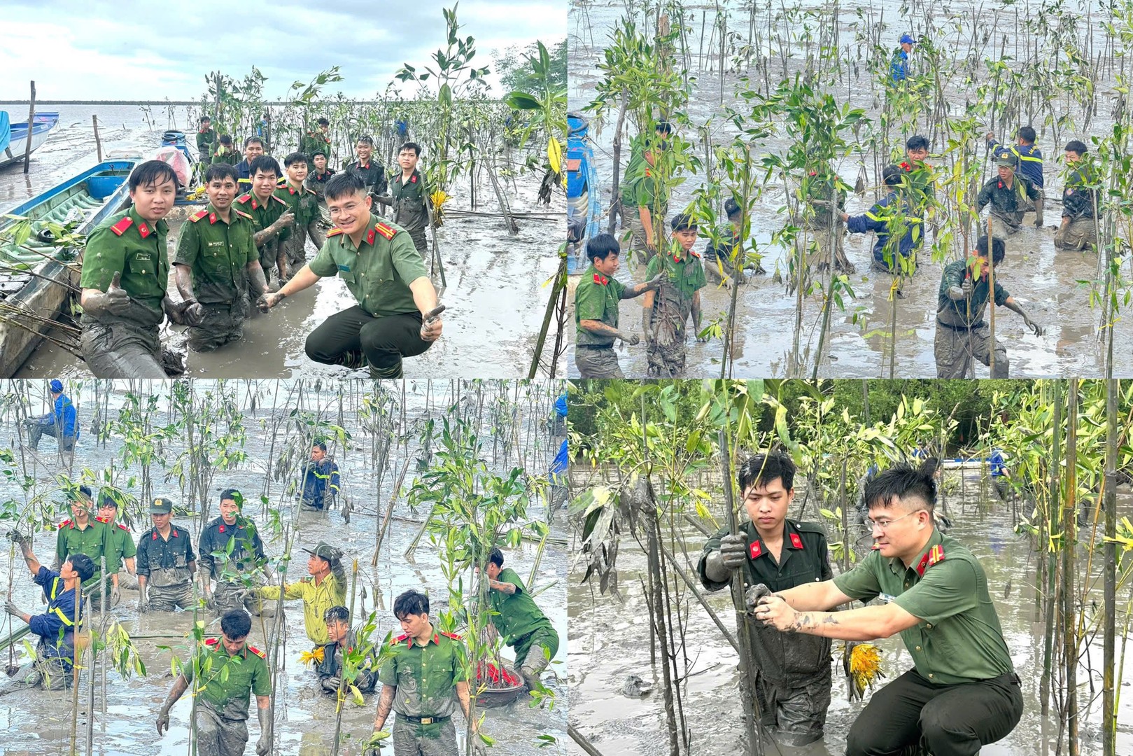 Ảnh 5.jpg